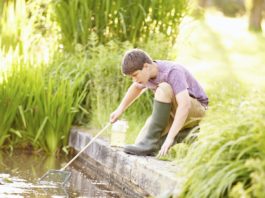 Sind Teichfilter wichtig für den Gartenteich?
