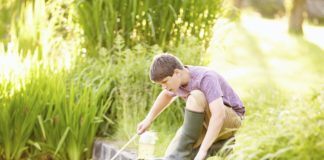 Sind Teichfilter wichtig für den Gartenteich?